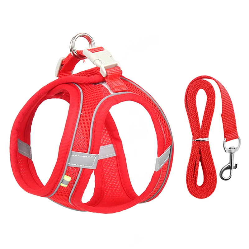 Dog Harness Leash Set for Small Dogs Adjustable Puppy Cat Harness Vest French Bulldog Chihuahua Pug Outdoor Walking Lead Leash - Image 2